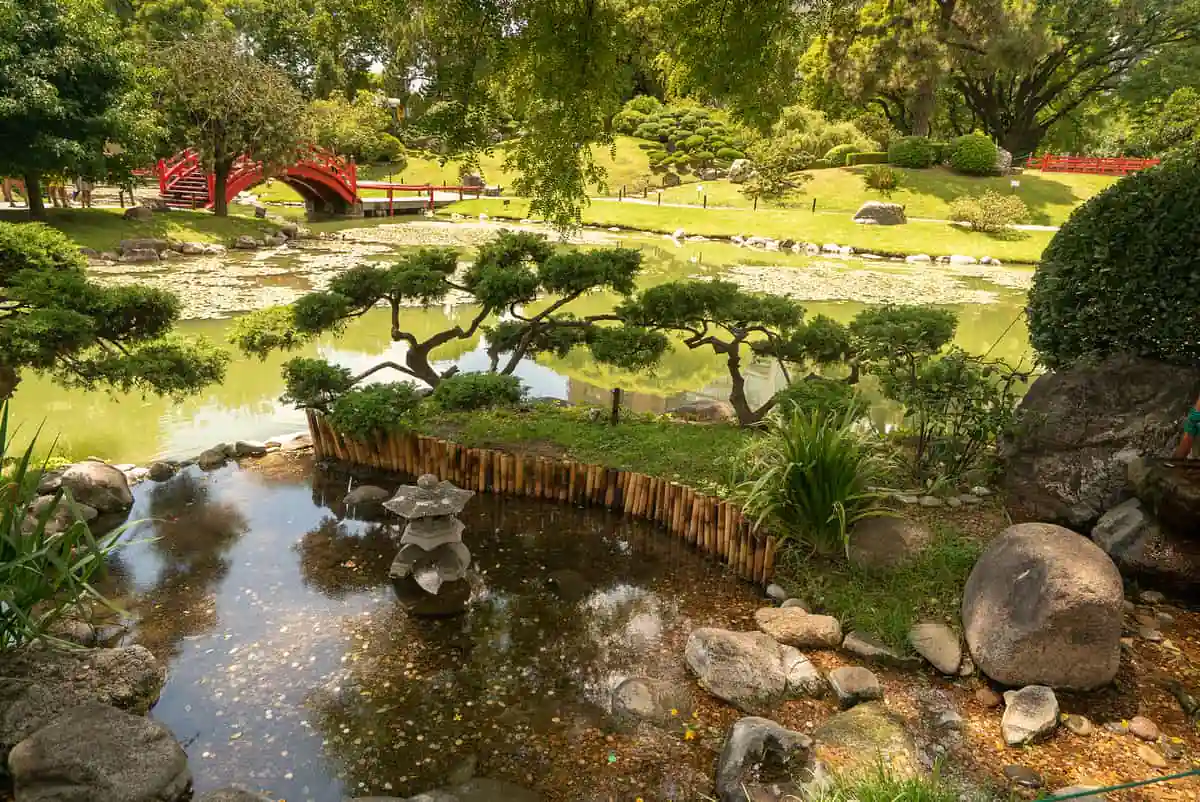 Puente de madera rojo en jardín japonés con arbustos podados