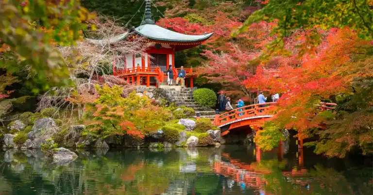 viaje a japon