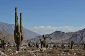 humahuaca jujuy