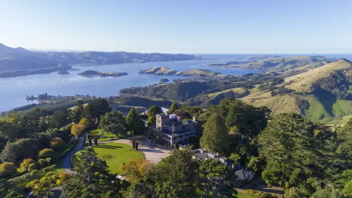 qué hacer en dunedin