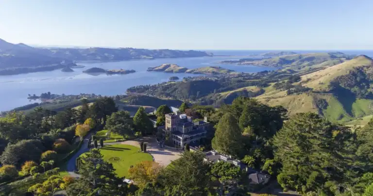 qué hacer en dunedin