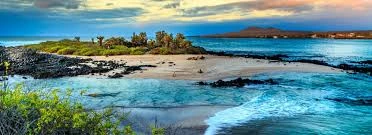 Playa rocosa con agua turquesa y formaciones de piedra