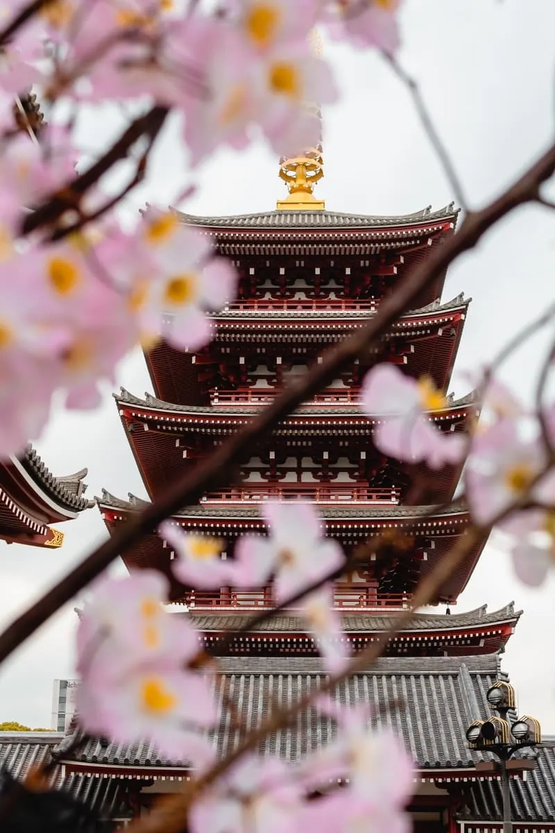 que hacer en tokio