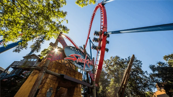 Atracción SheiKra en Busch Gardens Tampa, una montaña rusa con caída vertical y giros extremos