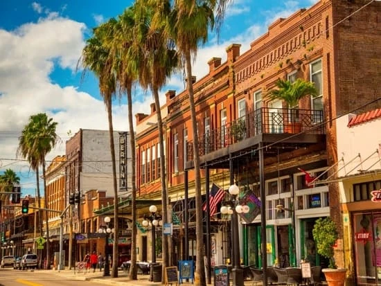 Qué hacer en Tampa 2023: atracciones y planes para toda la familia