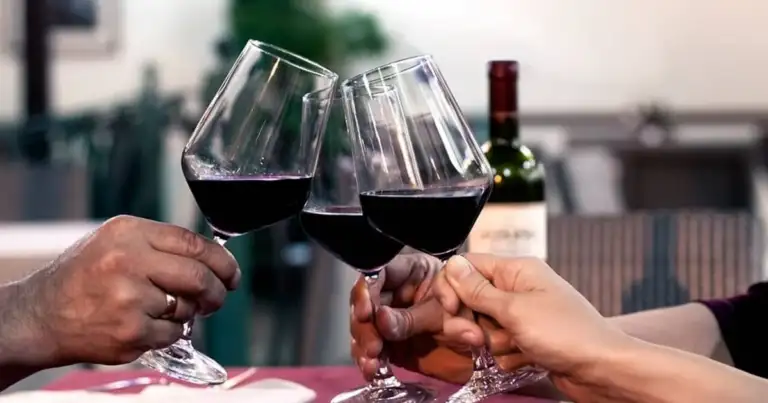 Brindis con copas de vino tinto durante una degustación en bodega argentina.