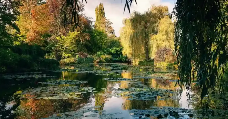 visita virtual jardin monet
