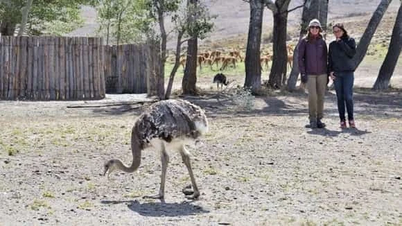 Zoologico de Patagonia