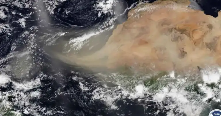 nube de polvo caribe