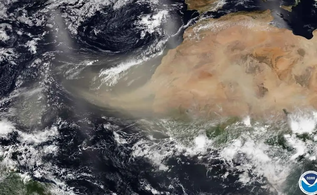 nube de polvo caribe