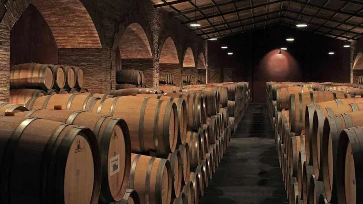 Interior de bodega con barriles de roble bajo bóveda de ladrillo y columnas