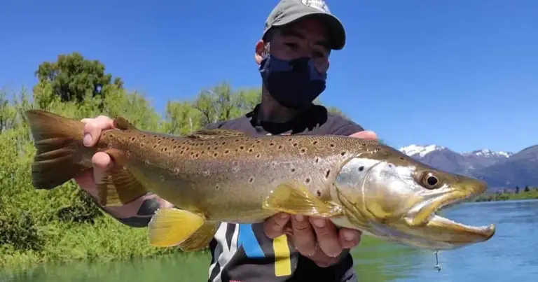 Trevelin pesca
