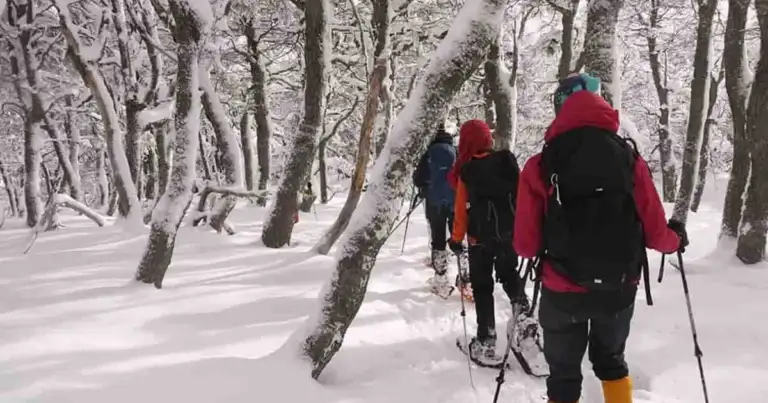 Parque de Nieve en Trevelin