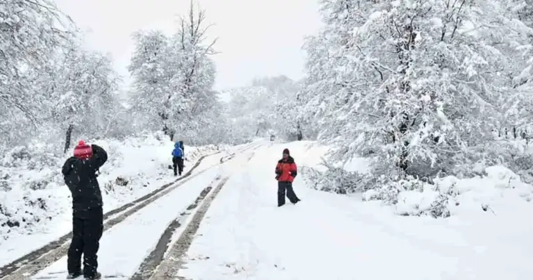 Turistas en trineos sobre vías de tren nevadas