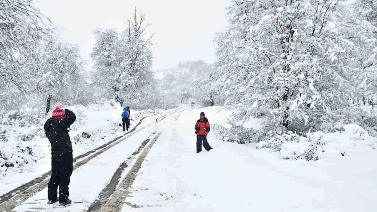 Turistas en trineos sobre vías de tren nevadas