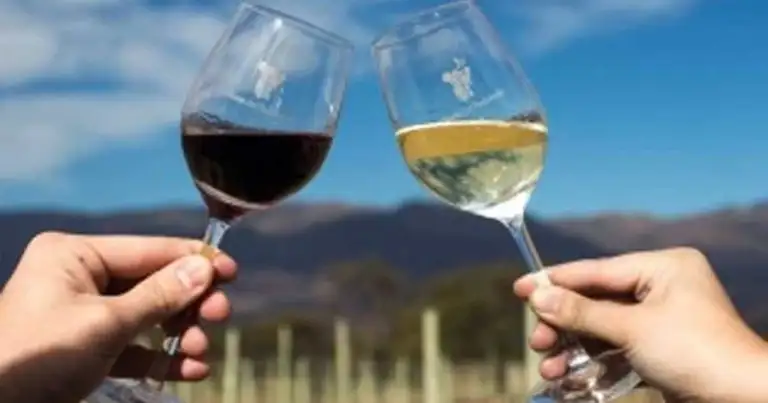 Copas de vino brindando frente a viñedos y paisaje de montaña en Mendoza
