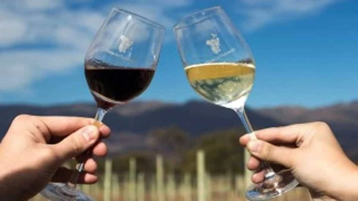 Dos manos brindan con una copa de vino tinto y otra de vino blanco frente a viñedos y montañas