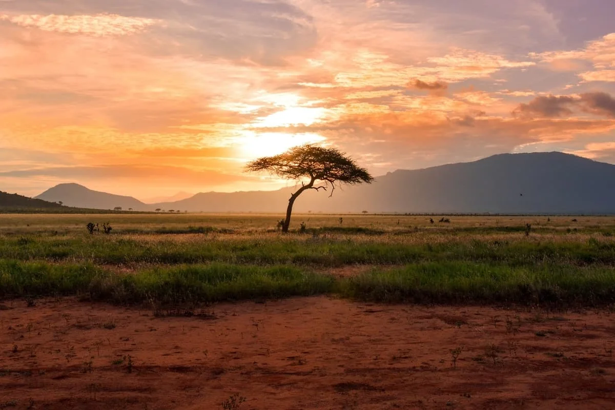 safaris para recorrer a pie