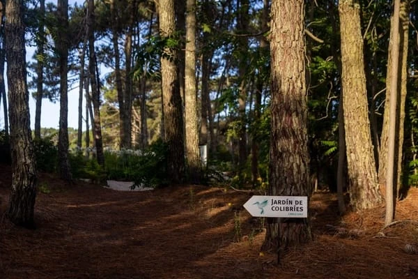 carilo campo de golf