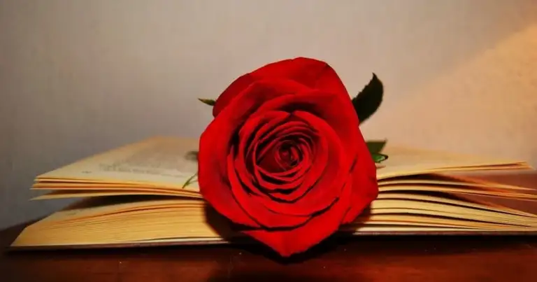 Sant Jordi