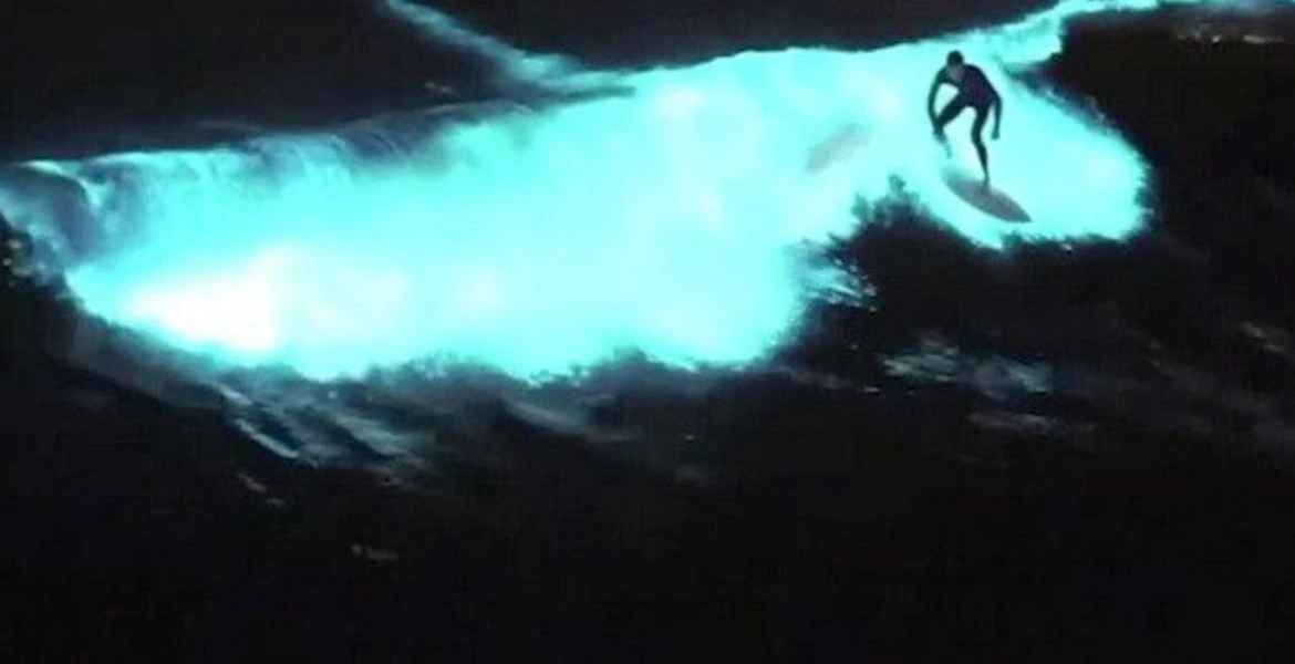 Surfista profesional ejecutando maniobra aérea en California