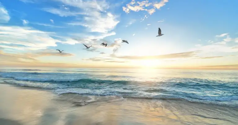 de qué manera la playa beneficia tu mente
