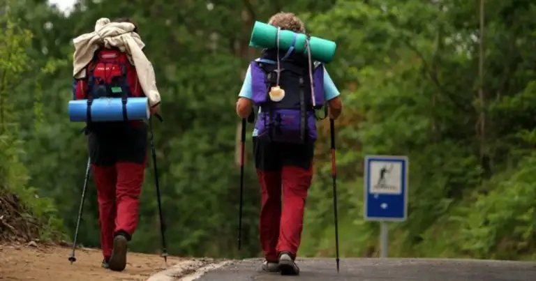 Dos peregrinos caminando por sendero con mochilas entre árboles