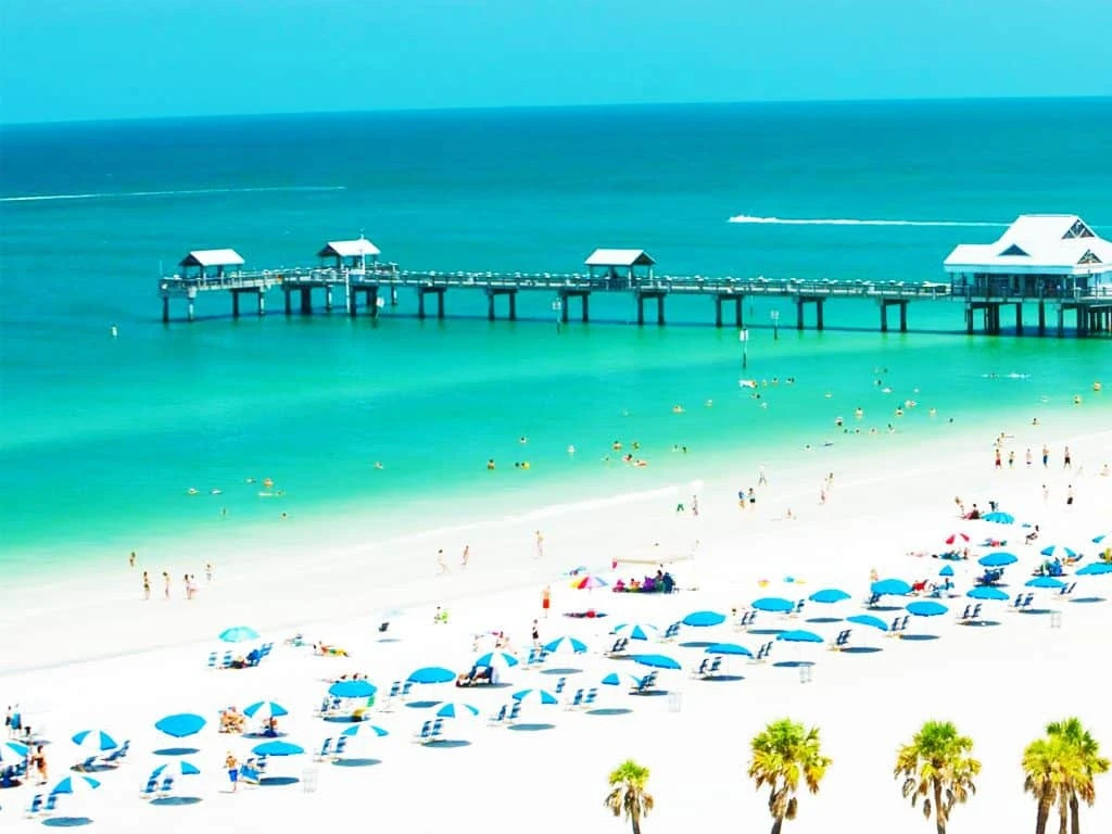 Actividades en Clearwater Beach: cruceros y deportes acuáticos