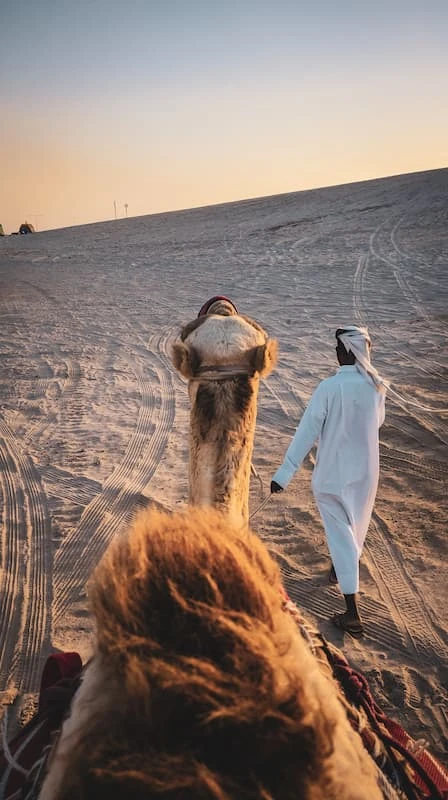 Desierto con montaña marrón al atardecer