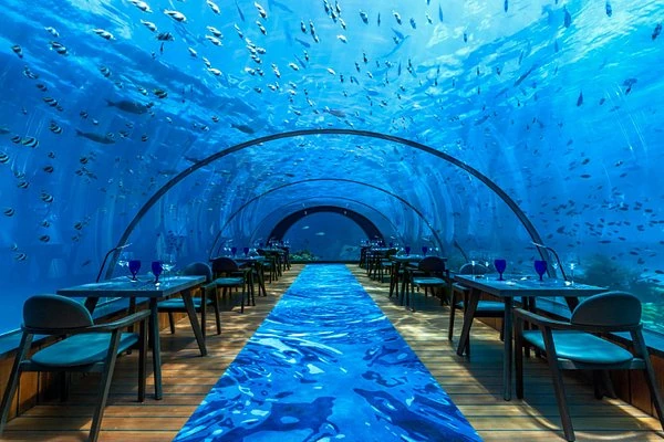 Restaurante bajo el agua en las islas maldivas Restaurante submarino en las islas maldivas