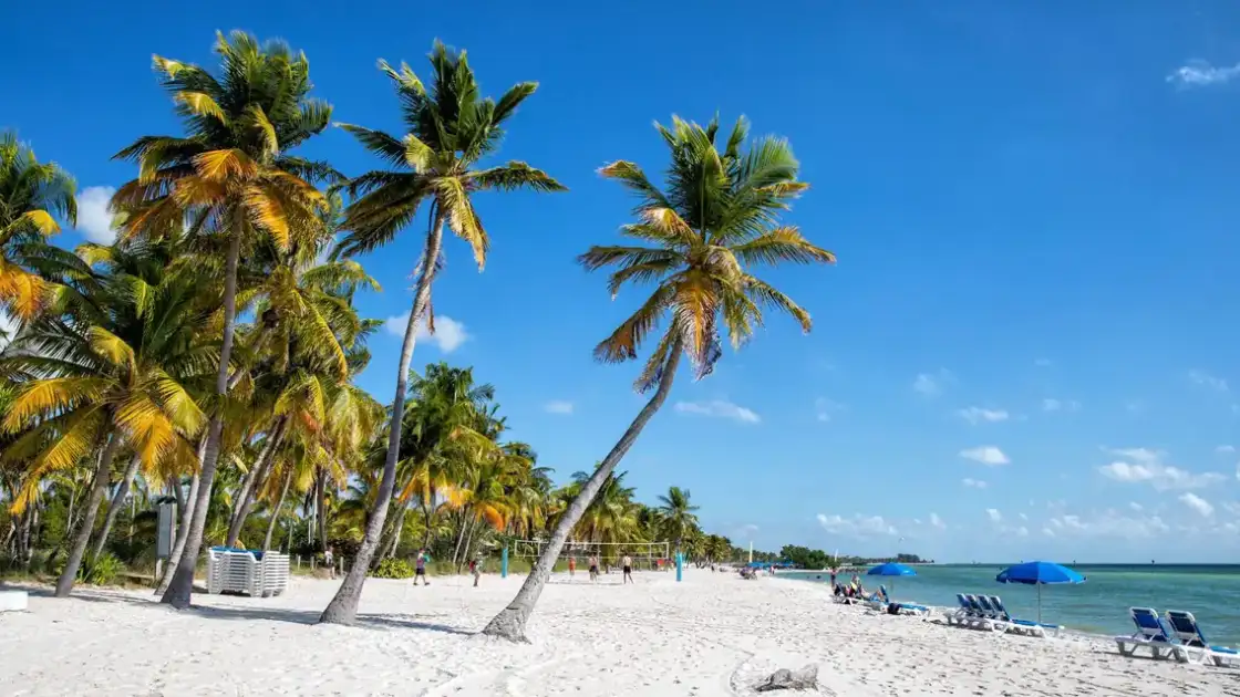 Playa tropical con palmeras, arena blanca y aguas turquesas