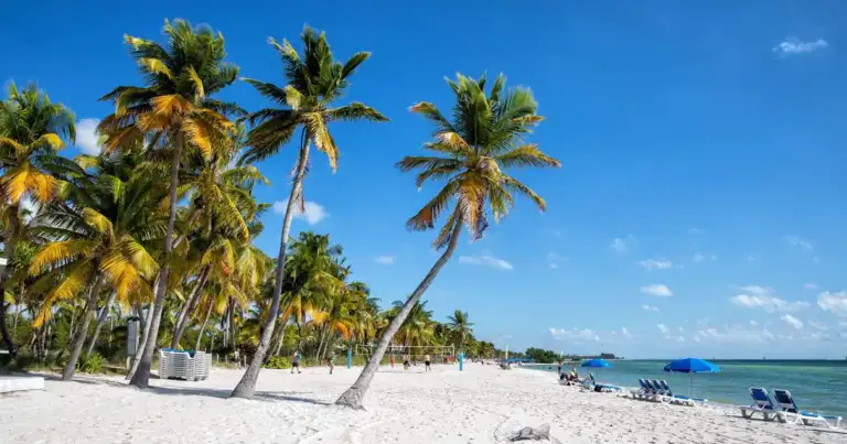 Playa tropical con palmeras, arena blanca y aguas turquesas