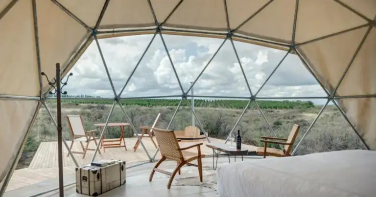 glamping en viñedos