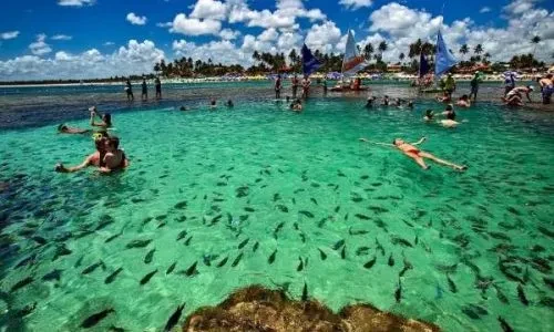 Turistas nadando en las piscinas naturales de Porto de Galinhas
