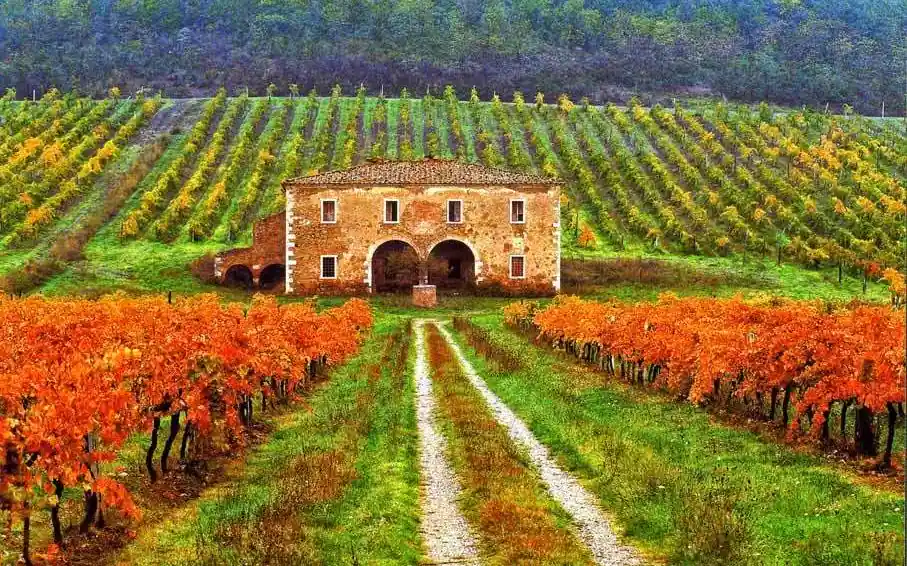 la toscana