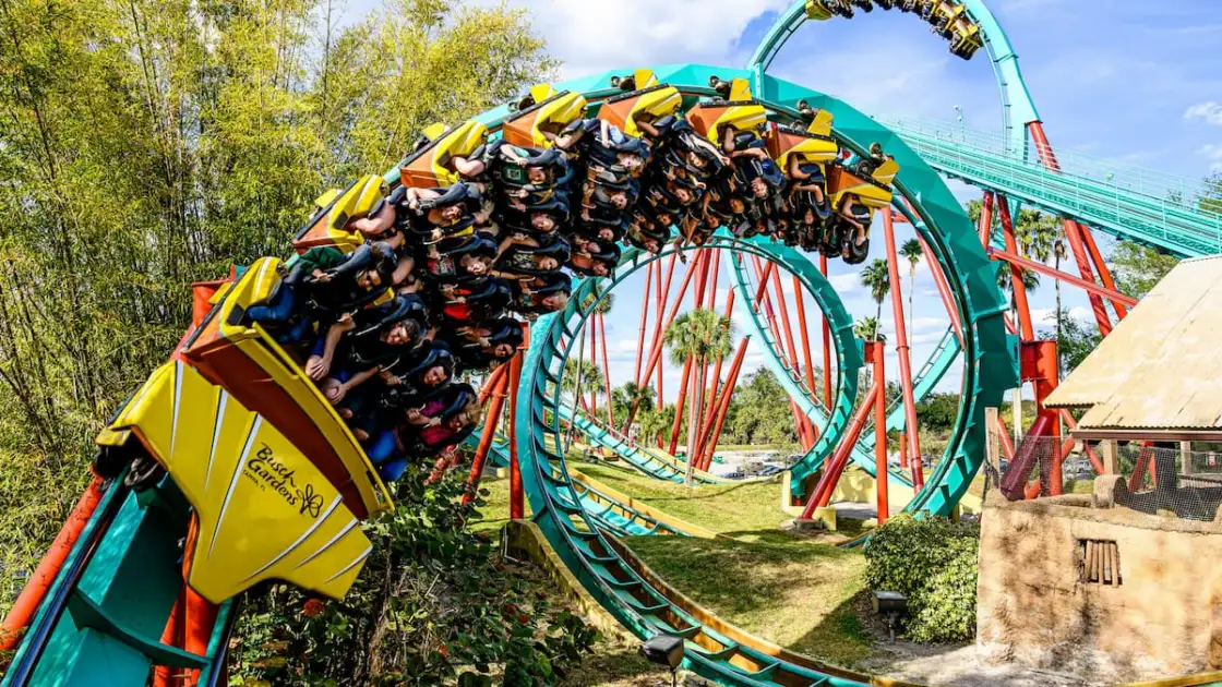 Busch Gardens Tampa Bay: adrenalina extrema, animales y diversión para toda la familia