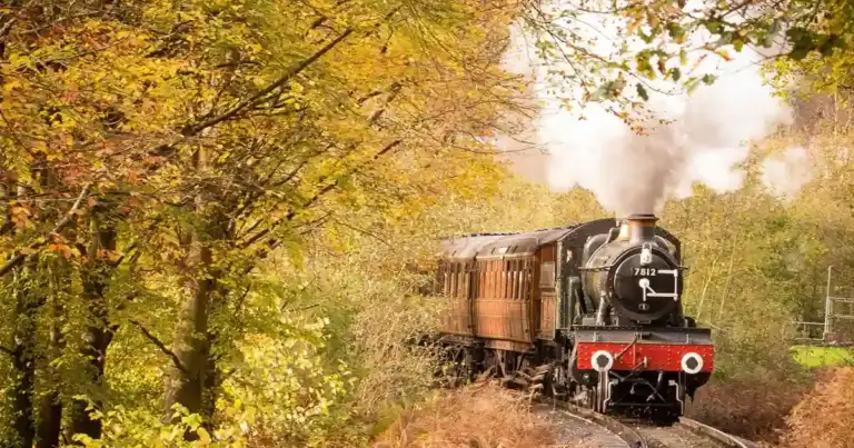 trenes turisticos