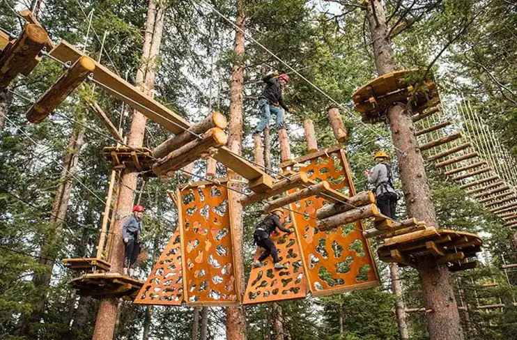 Parque de aventura en los árboles con escaleras, pasarelas y paneles de escalada de colores