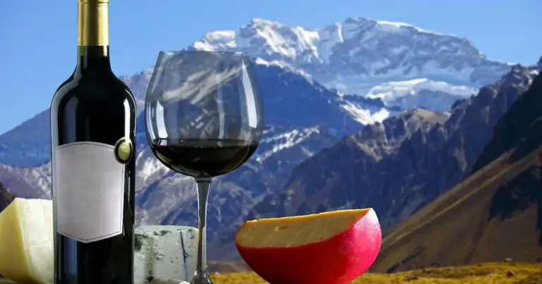 mejores bodegas de mendoza vinos