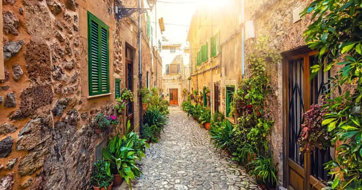 Calle medieval empedrada con casas de piedra, plantas en macetas y flores de colores