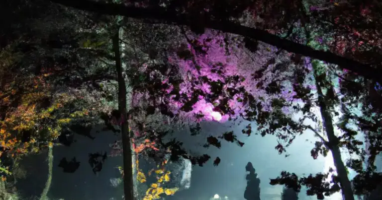 Secret Garden: el Jardín Botánico se convertirá en un museo a cielo abierto