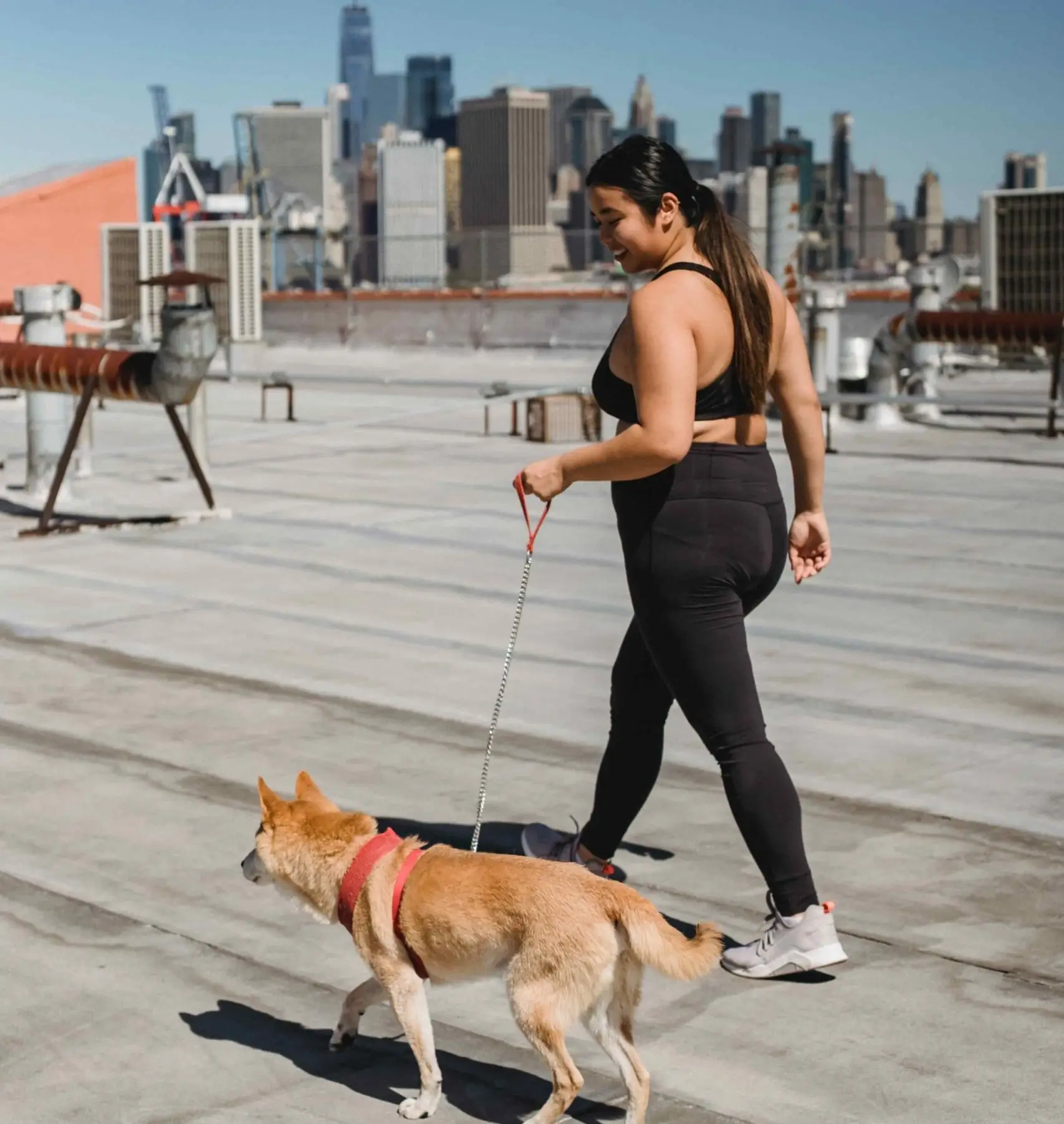 Mujer corriendo con perro rojo en correa en azotea neoyorquina