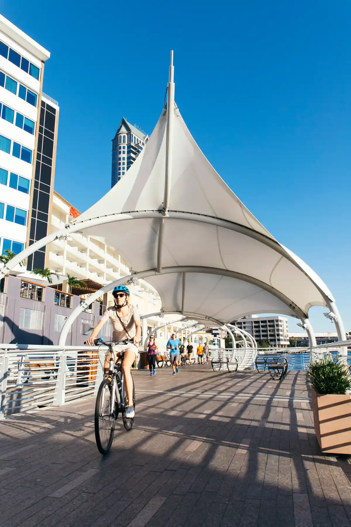 cosas para hacer en tampa florida