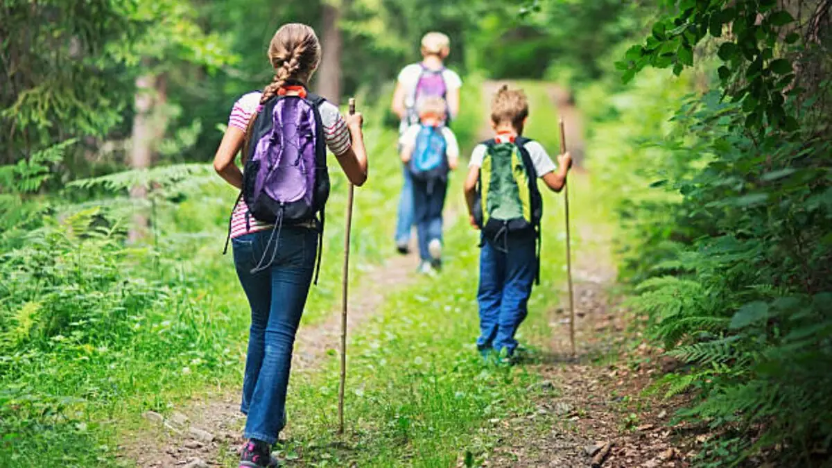 Senderismo infantil en Cataluña: 5 espacios naturales para ellos