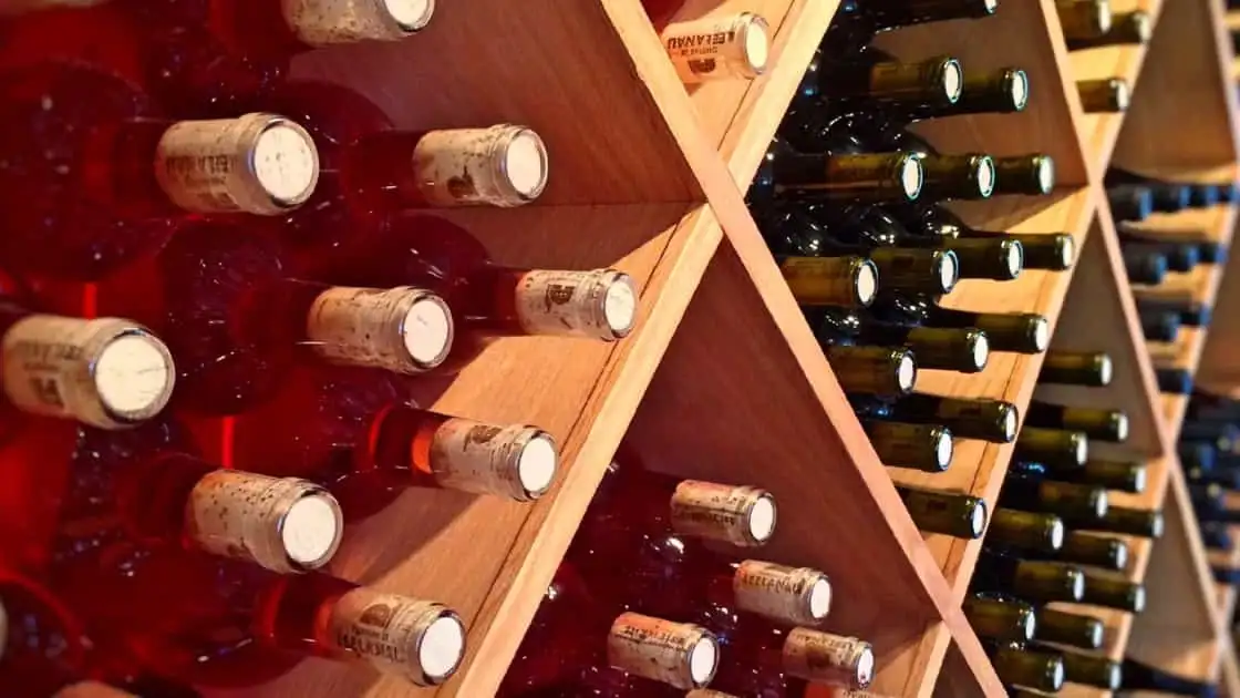 6 bodegas argentinas, entre las mejores del mundo: el boom del enoturismo