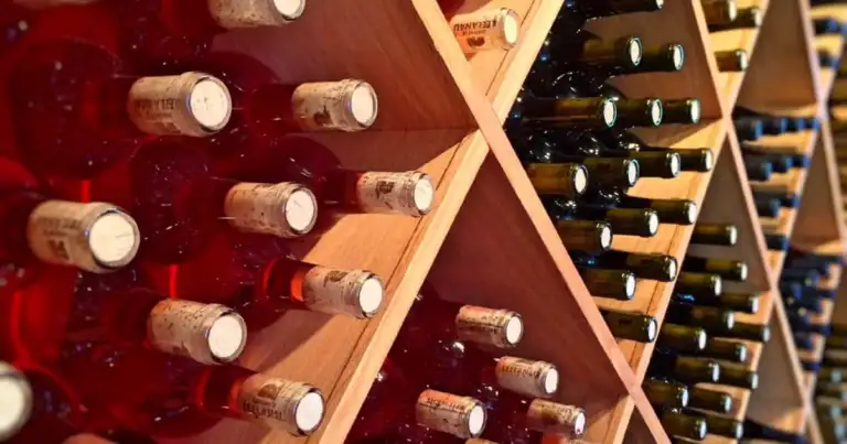 6 bodegas argentinas, entre las mejores del mundo: el boom del enoturismo
