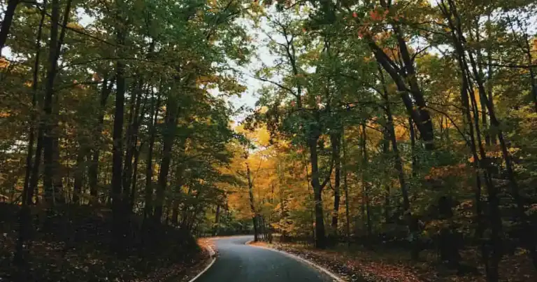Qué hacer en Michigan: 7 lugares imperdibles