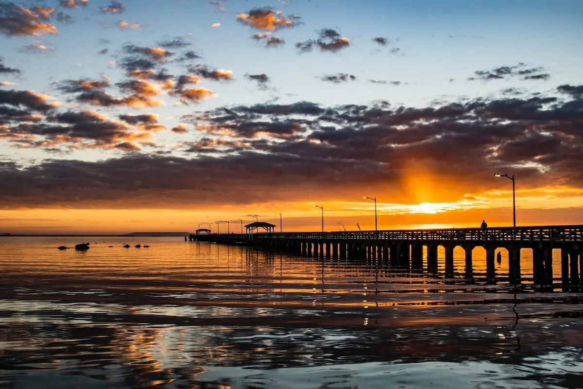 Lugares para visitar en Tampa: palmeras y costa del Golfo de Florida