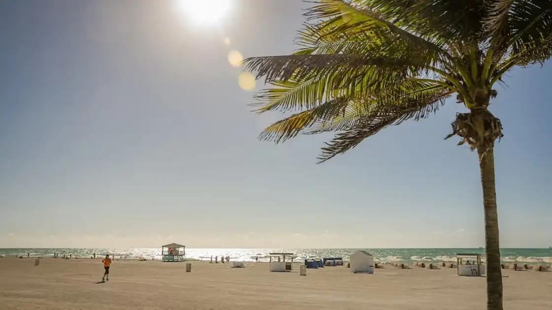 Qué hacer en Miami en 2025: mucho más que playas y compras