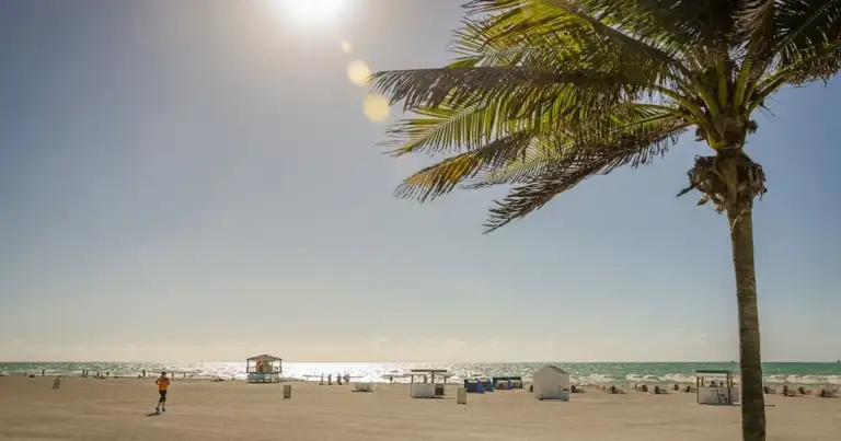 Qué hacer en Miami en 2025: mucho más que playas y compras